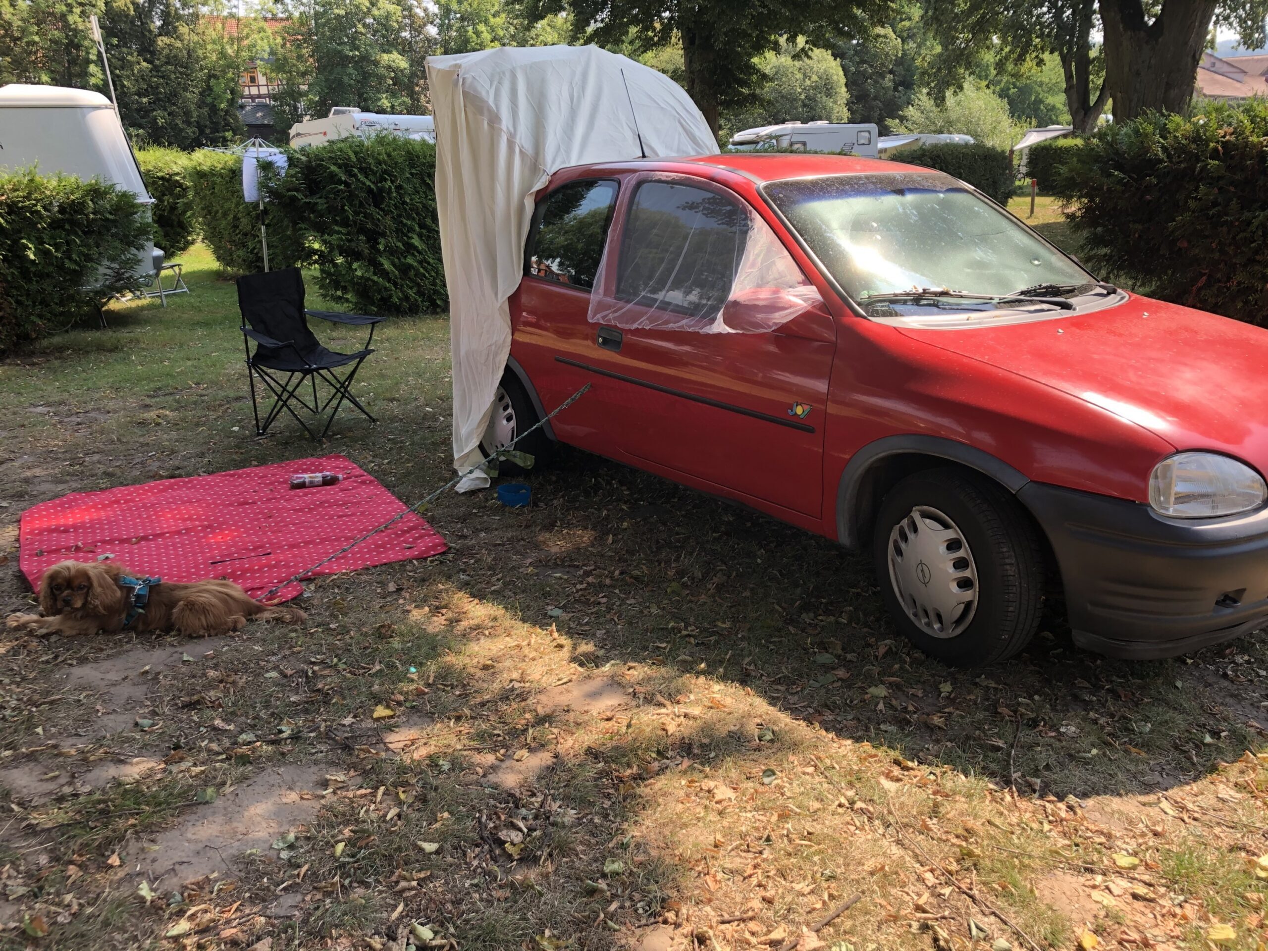 623DDA67-456D-46CB-848F-B484B5630F91