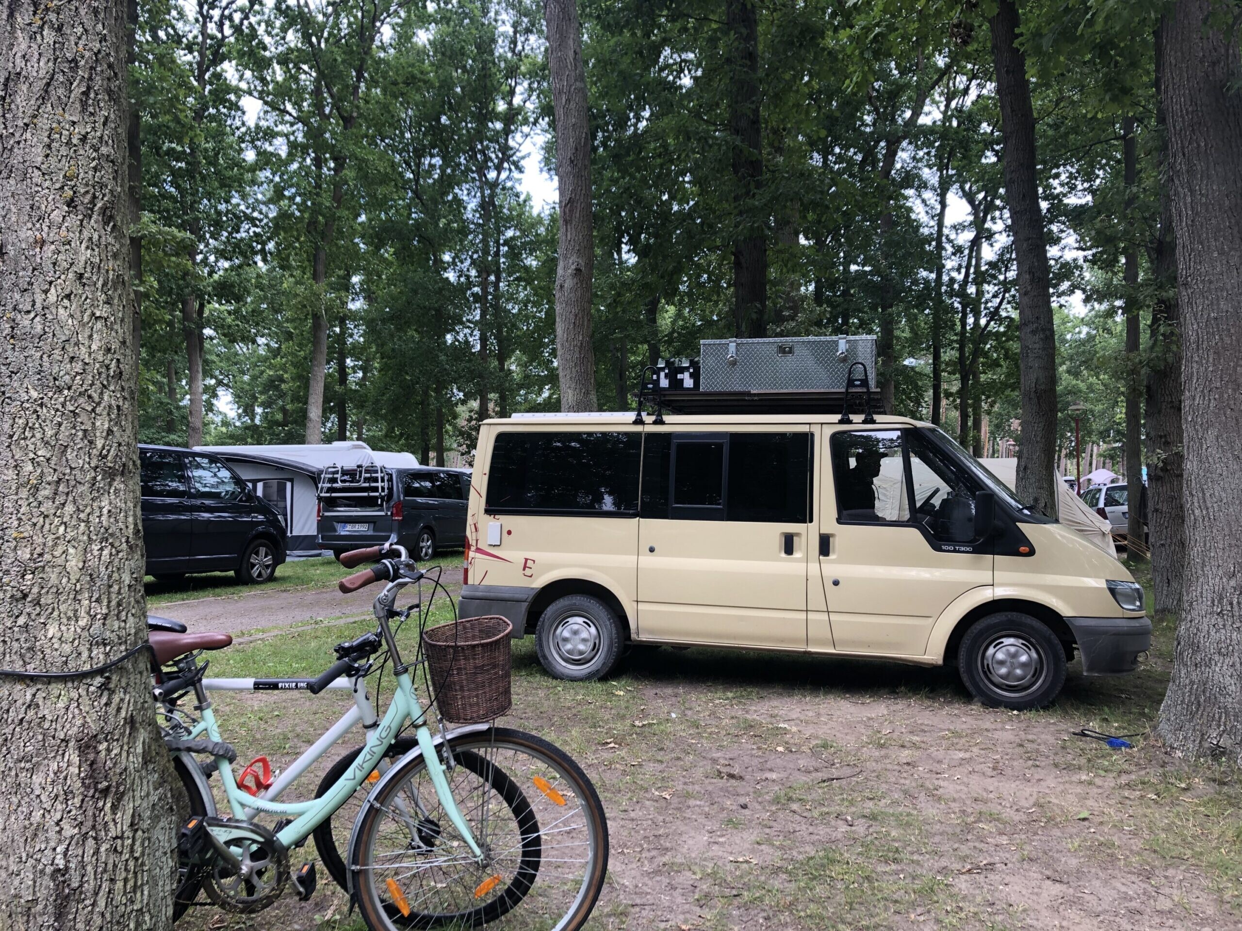 E4283F00-AEE4-422F-B9EC-98C2F12D1079