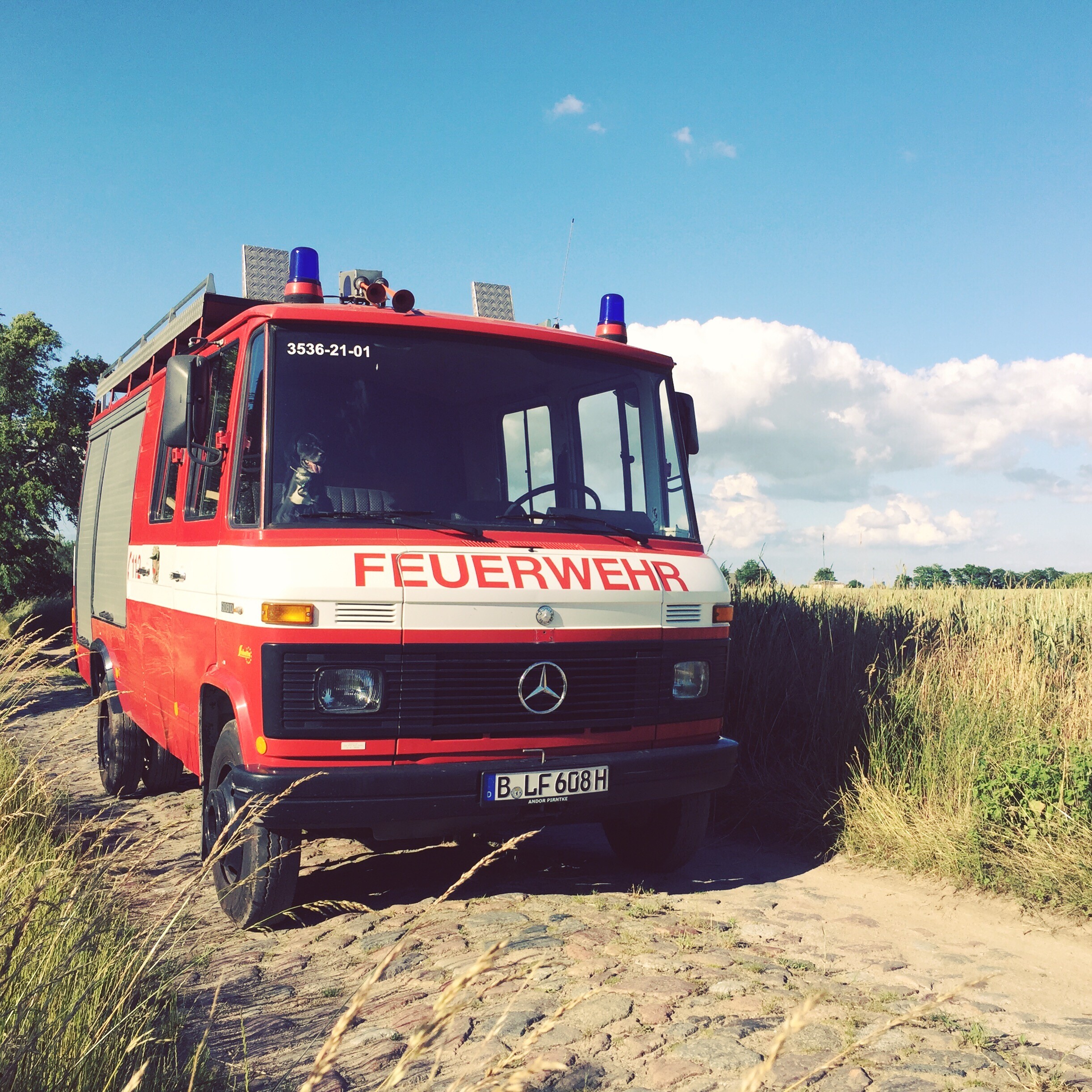 5BC24353-1C50-48FD-AFC9-1DDDF9D5CAC6