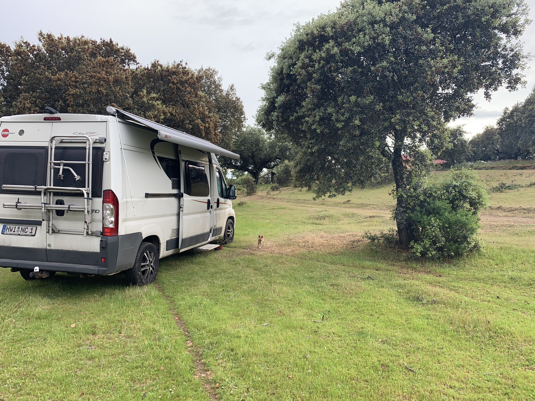 451F5EE9-000F-4358-9238-1957279075D6