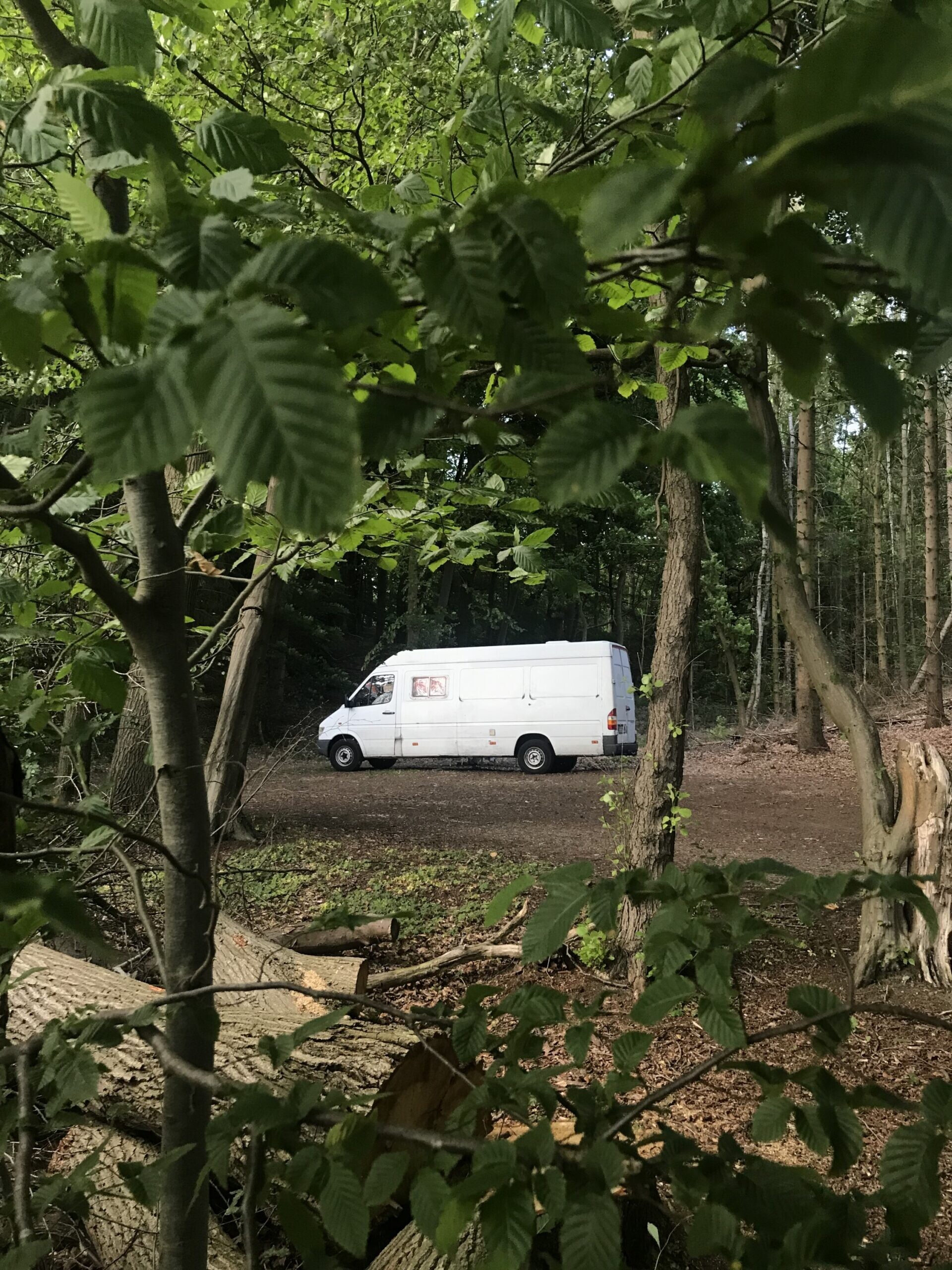 7AA2CD49-9408-4292-82A6-9BAA9583E9FD