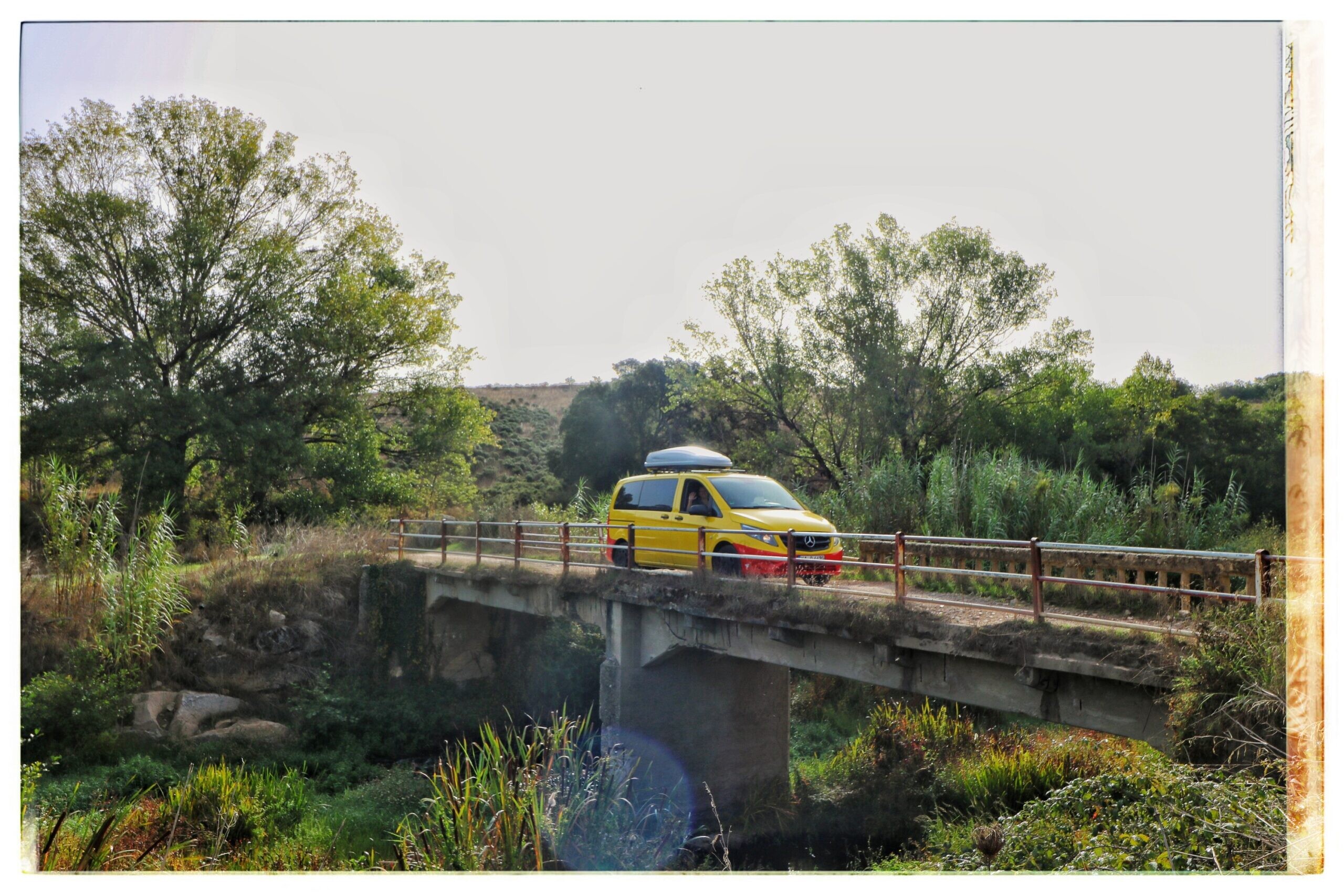 20210924091208_IMG_9362-01