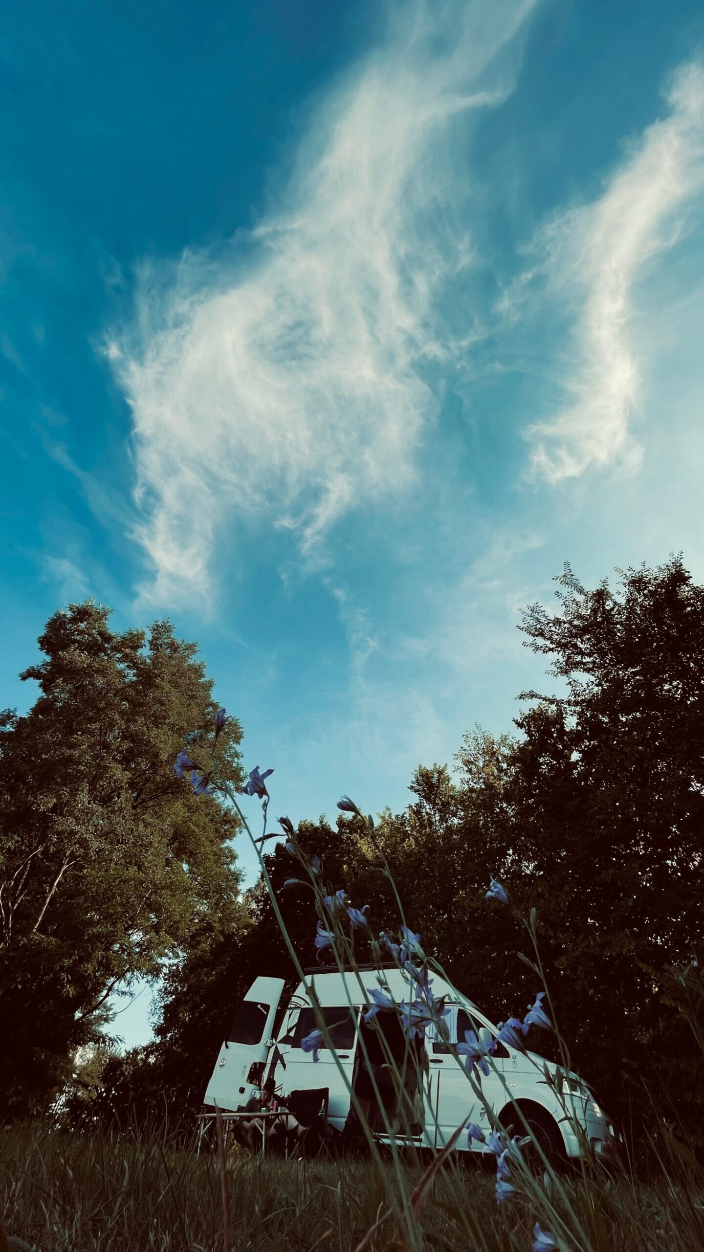 EAC74571-5DC0-42D9-9935-45AD3C63E227