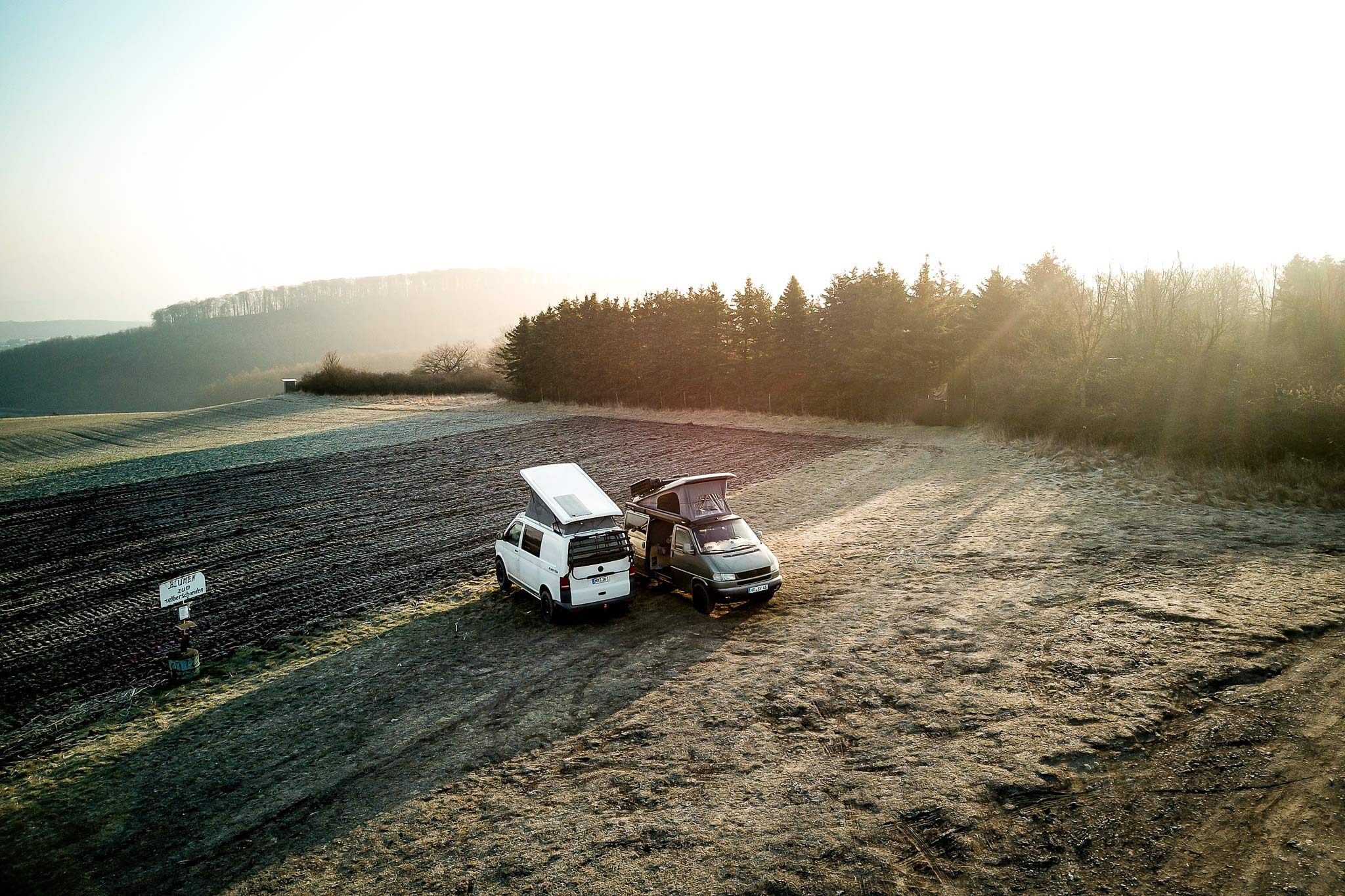 friends-will-be-friends