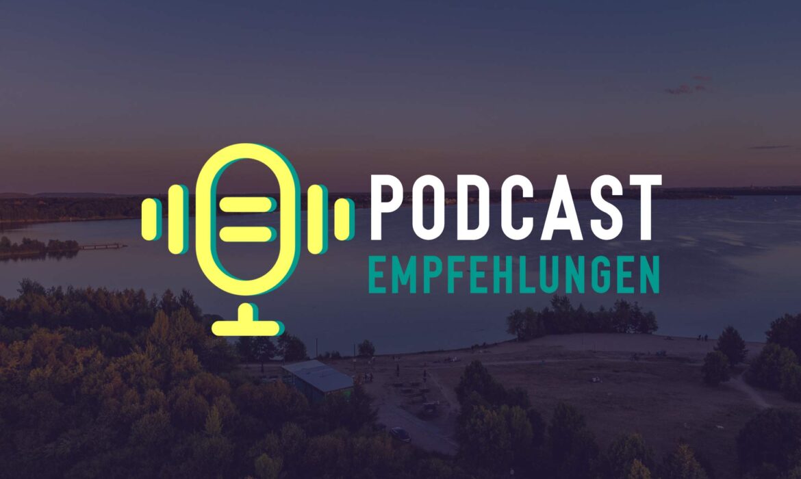 Camperflower Frontscheiben-Abzieher