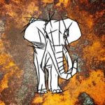 Profilbild von Ele_van_tour