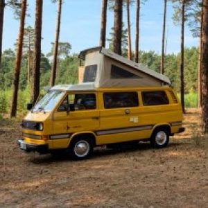 Profilbild von Bertfalia