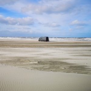 Profilbild von OscarsVanlife