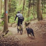 Profilbild von rideandexplore