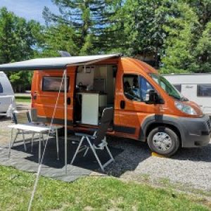 Profilbild von Honey