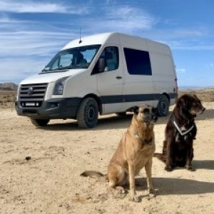 Profilbild von BigBulli