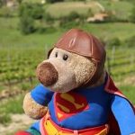 Profilbild von Superbaer