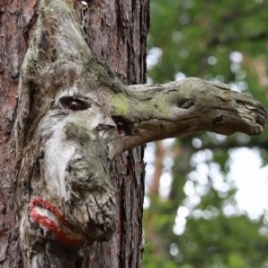 Profilbild von sajaz