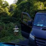 Profilbild von Korkenschnitzer