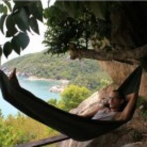 Profilbild von Ducatodupps