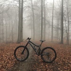 Profilbild von Justushen