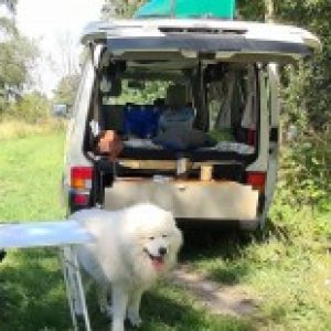 Profilbild von Staevy