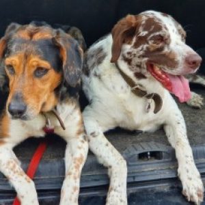 Profilbild von Chrissin