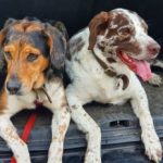 Profilbild von Chrissin