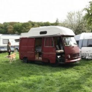 Profilbild von OldLion