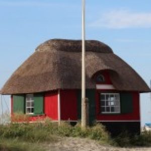 Profilbild von Ronja