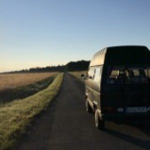 Profilbild von Simmel996