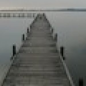 Profilbild von T4Olly