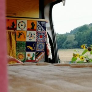 Profilbild von FreddyDerFord_xeni