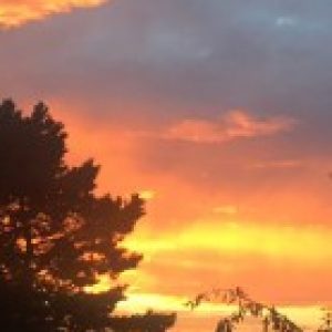 Profilbild von Der-Weg-ist-das-Ziel