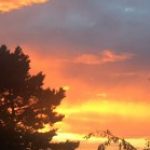 Profilbild von Der-Weg-ist-das-Ziel