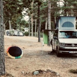 Profilbild von WaldoderBus