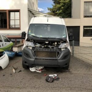 Profilbild von Phill