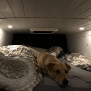 Profilbild von Tbu313