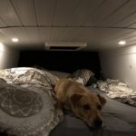 Profilbild von Tbu313