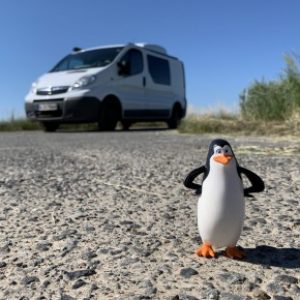 Profilbild von deisterpics