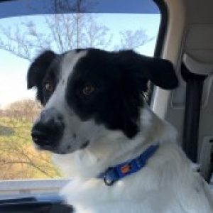 Profilbild von Jess76Kautz