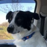 Profilbild von Jess76Kautz