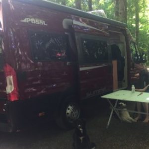 Profilbild von Grisu_272