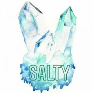 Profilbild von salty_der_bus