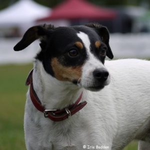 Profilbild von LotharaufTour