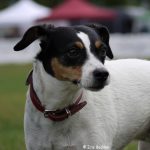 Profilbild von LotharaufTour