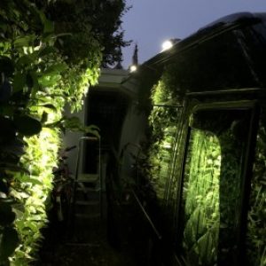 Profilbild von robisfancyvan