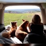 Profilbild von Nilla