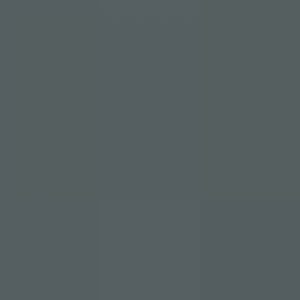 Profilbild von 1995VWLT35