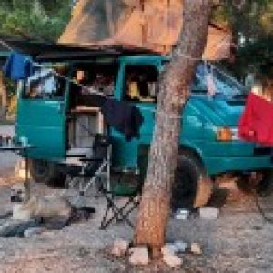 Profilbild von Beule.Bus