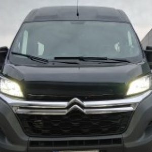 Profilbild von Van_Virus_for_Life