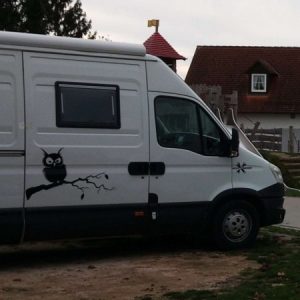 Profilbild von tomsenk