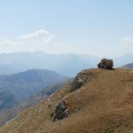 Profilbild von MichiMarx