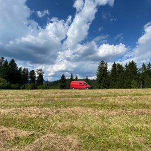 Profilbild von Schwarzwald-Werner