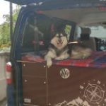 Profilbild von Huskycamper